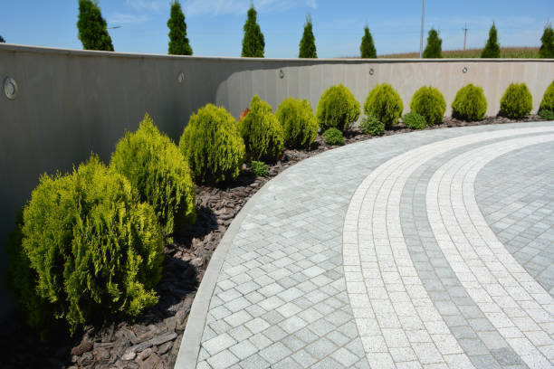 Best Residential Paver Driveway  in Gorman, NC